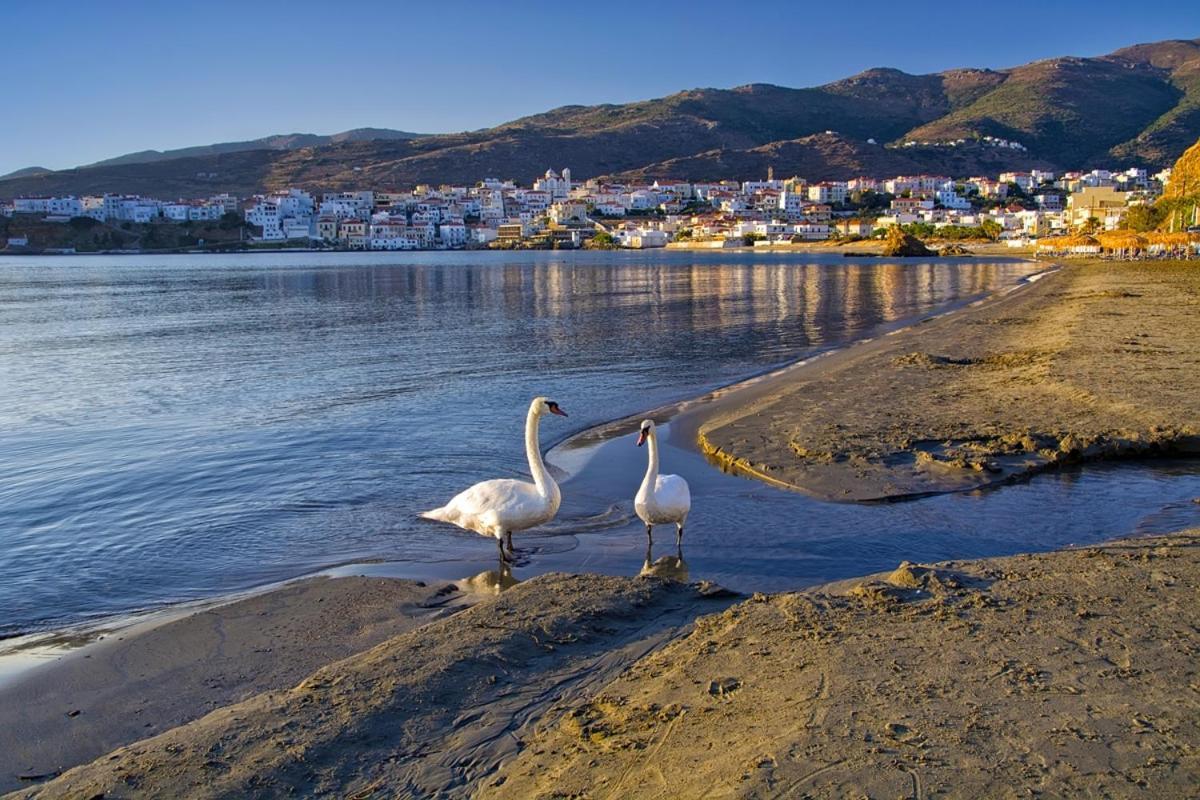 Kontos-Traditional House In Andros Beach Экстерьер фото